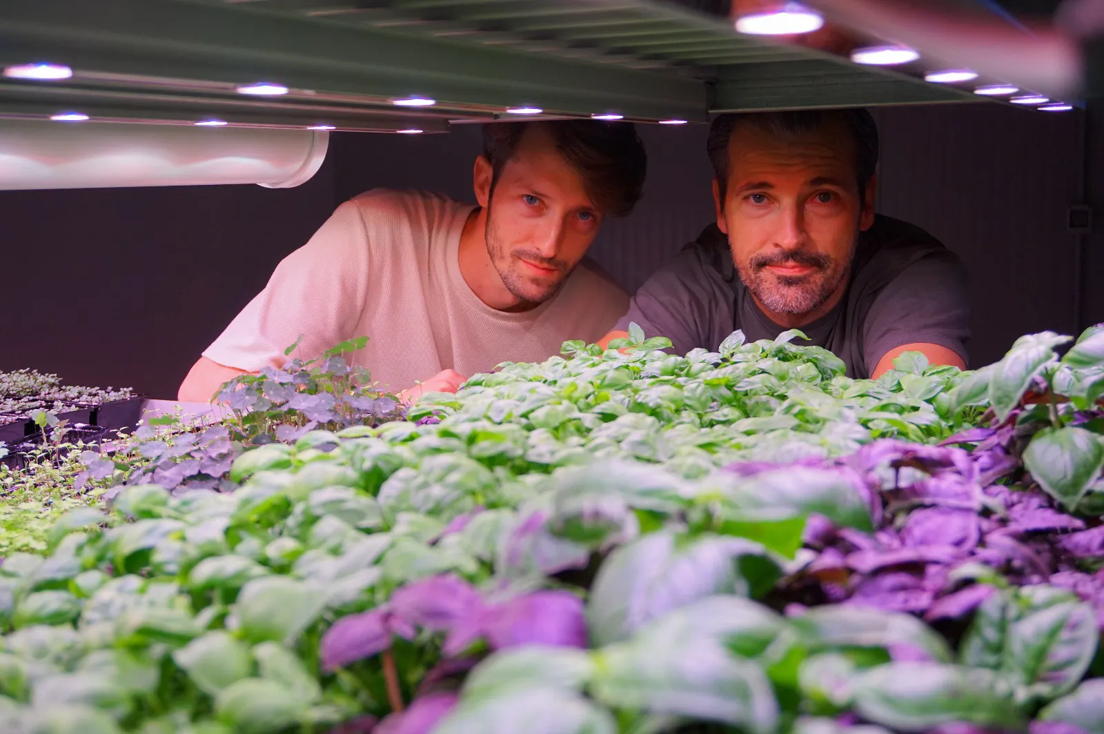 MYEDEN: Da un garage al futuro