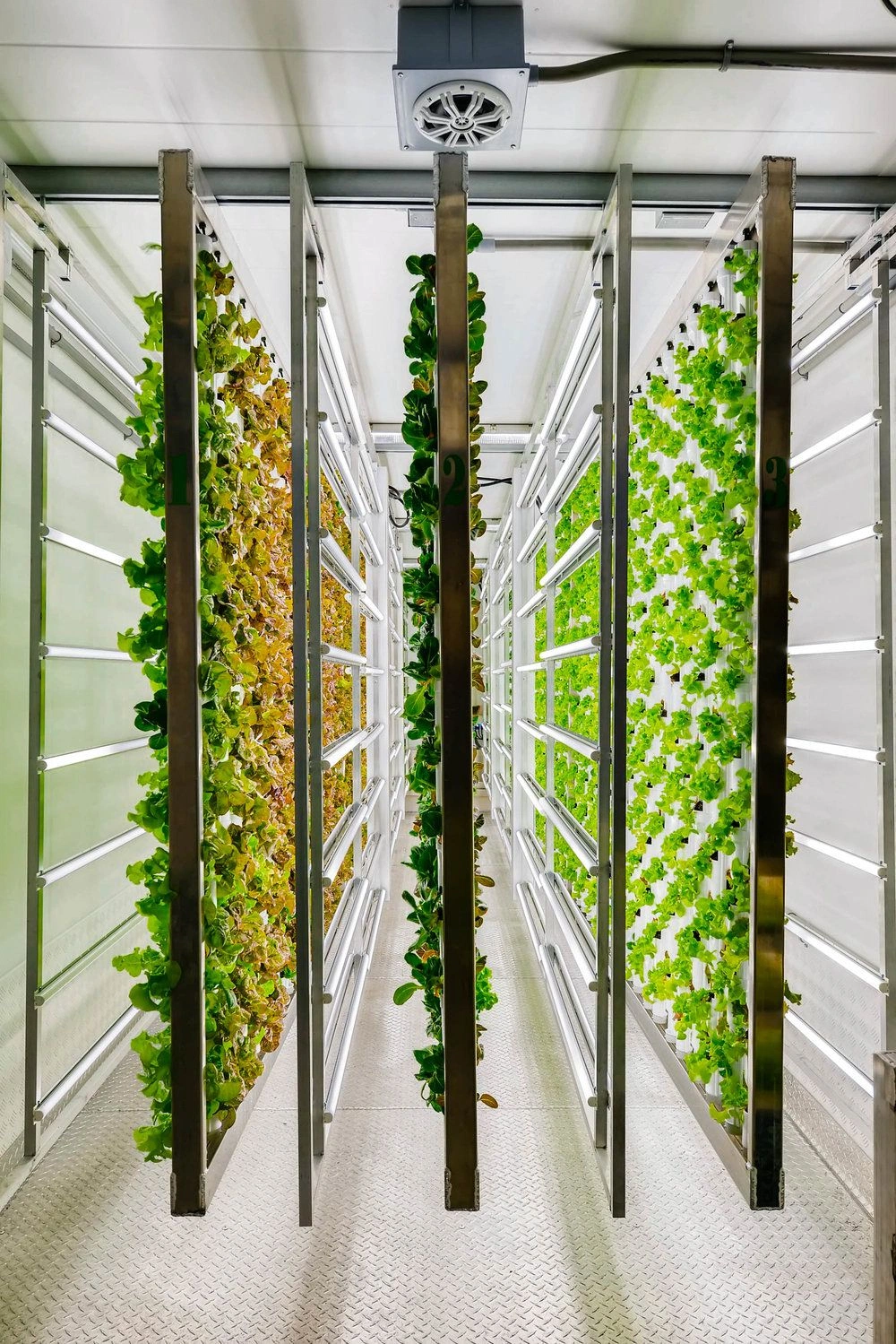 VERTICAL FARMING: sta cambiando l’agricoltura?